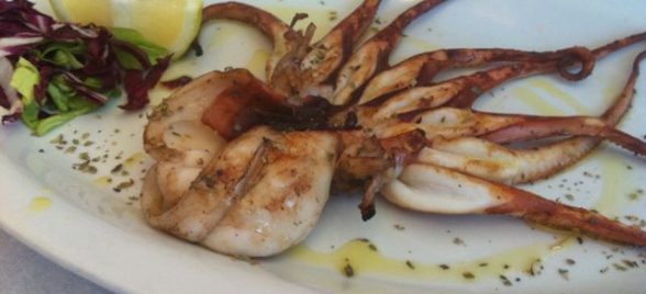 Grilled Baby Octopus