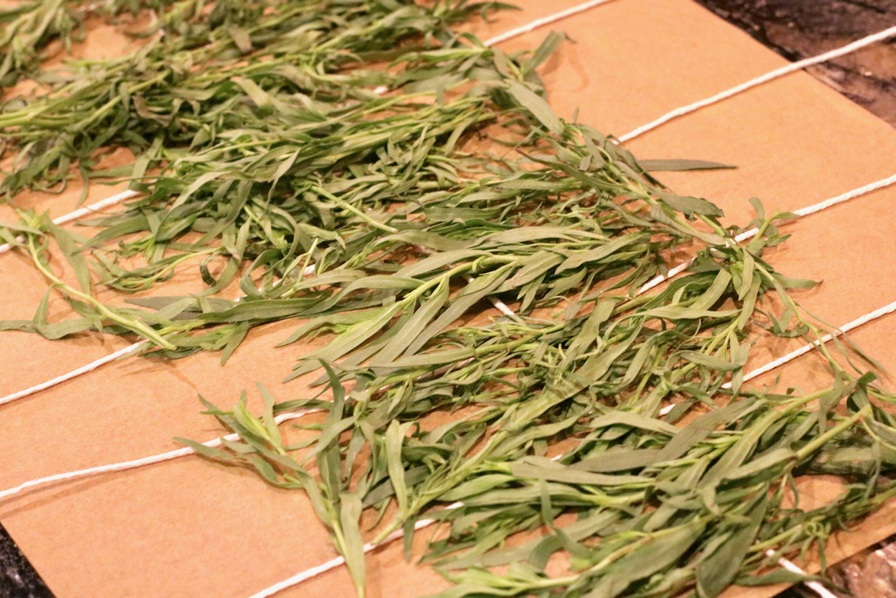 Tarragon leaves on counter