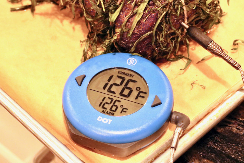 Beef tenderloin Thermoworks Dot Meat Thermometer