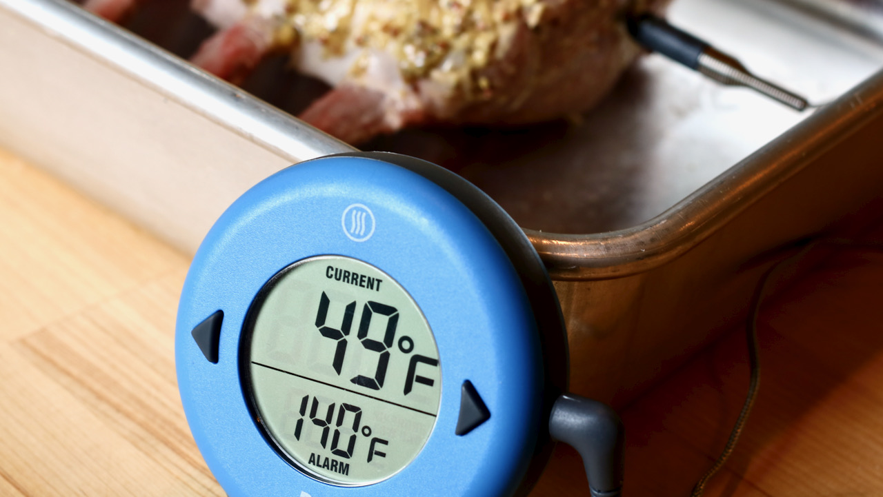 Thermoworks DOT Meat thermometer