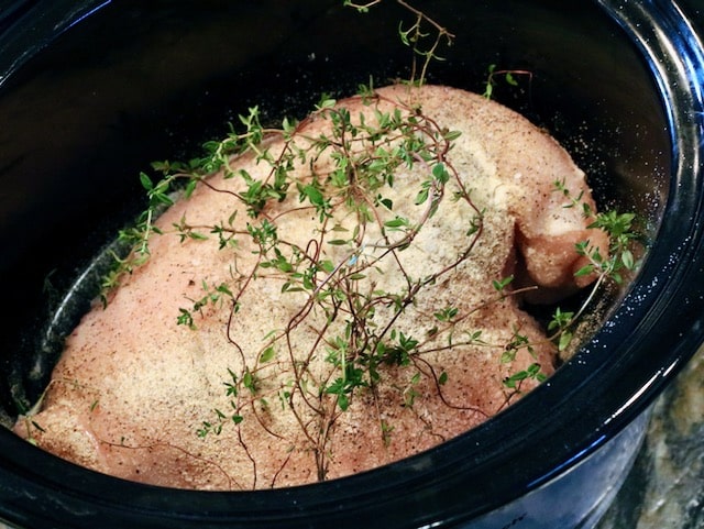 Crock pot outlet pulled turkey