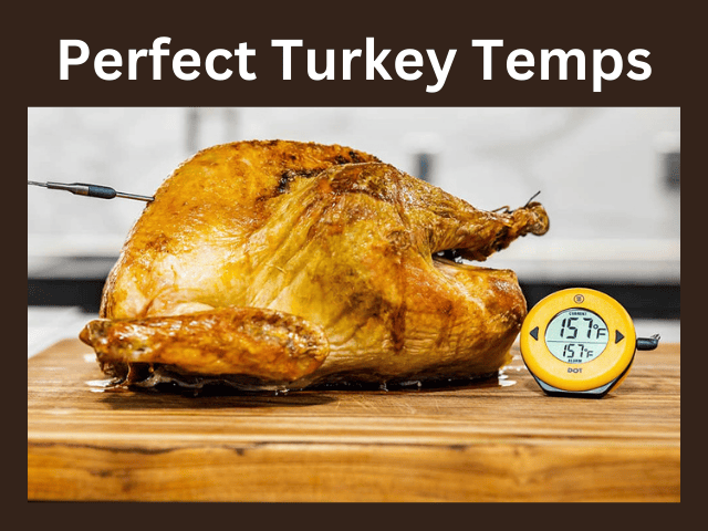 A roasted turkey with a meat thermometer reading 157°F, captioned "Perfect Turkey Temps.