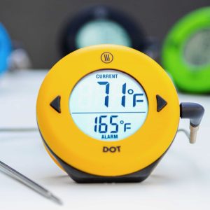 Thermoworks Dot Meat Thermometer