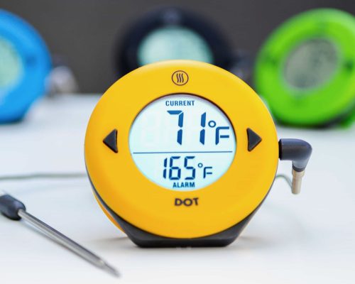 Thermoworks Dot Meat Thermometer