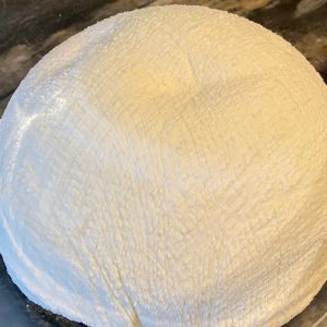 Ricotta